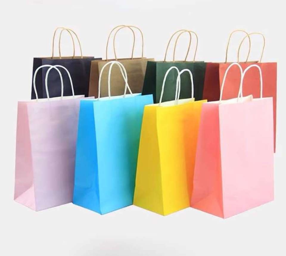 Paper Carry Bags Manufacturer & Supplier